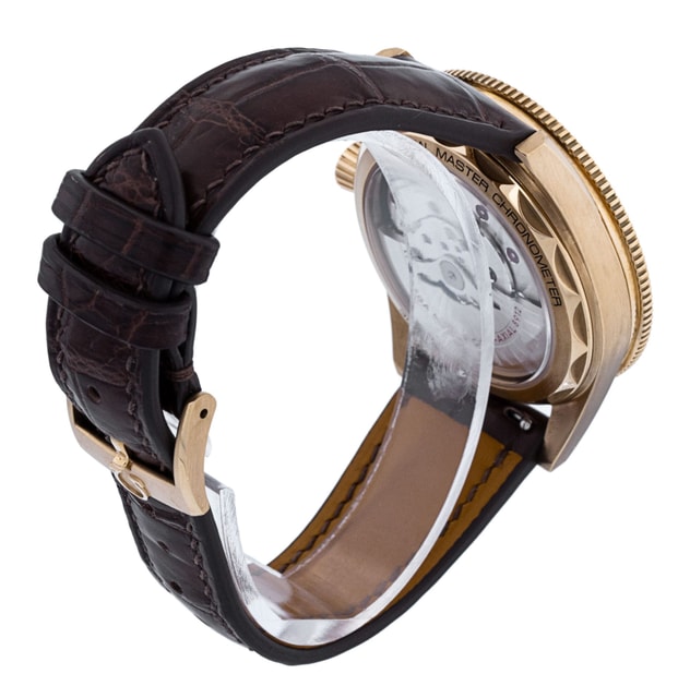 Omega Seamaster 300 234.92.41.21.10.001 Image 3